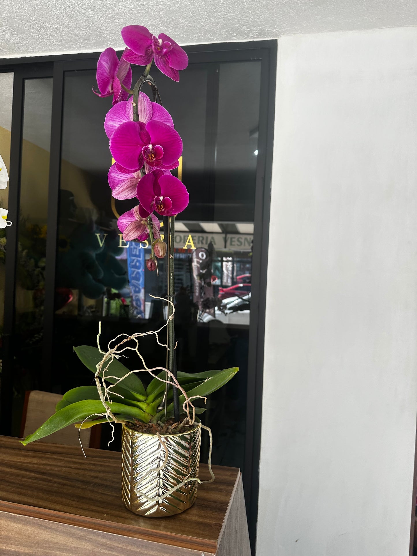 Orquídea Grande con maceta DORADA