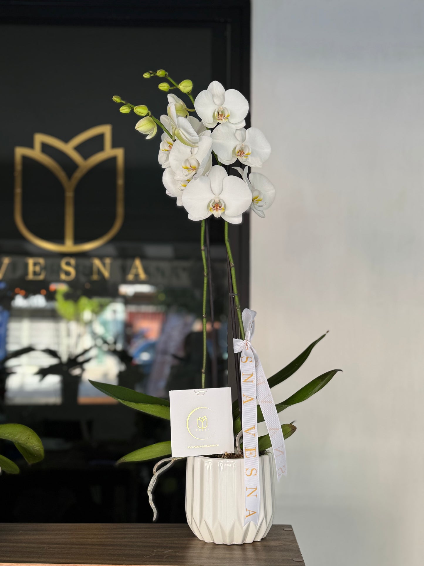Orquídea con base de LUJO