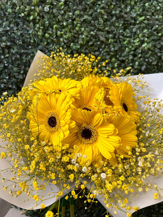 gerberas amarillas