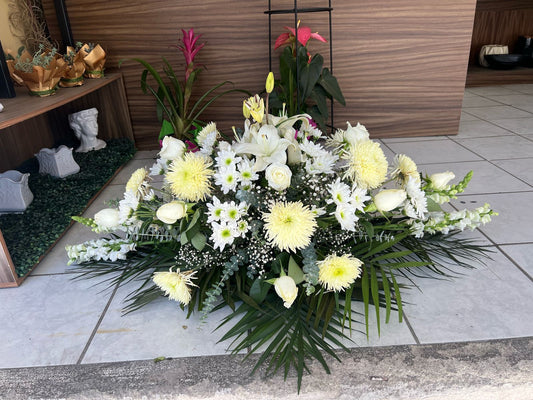 Ofrenda “ Luz Blanca”