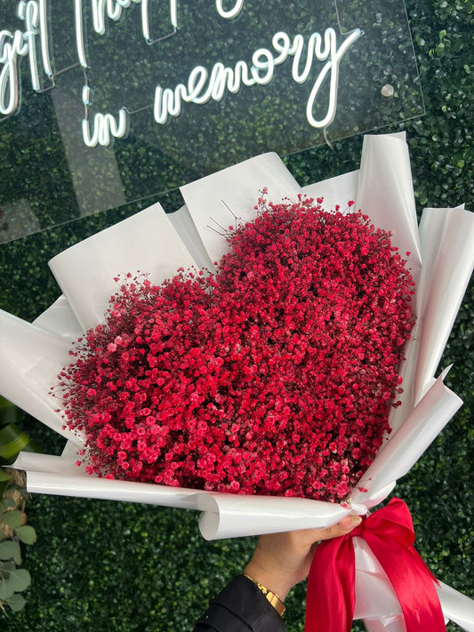 CORAZÓN DE FUEGO